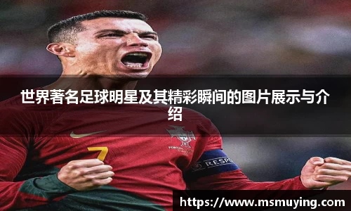 世界著名足球明星及其精彩瞬间的图片展示与介绍