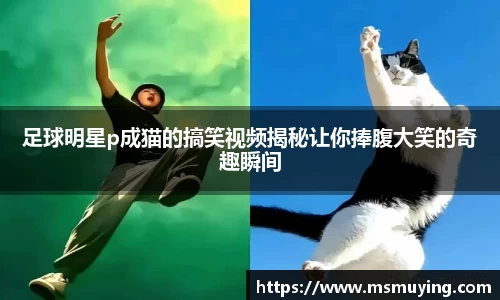 足球明星p成猫的搞笑视频揭秘让你捧腹大笑的奇趣瞬间
